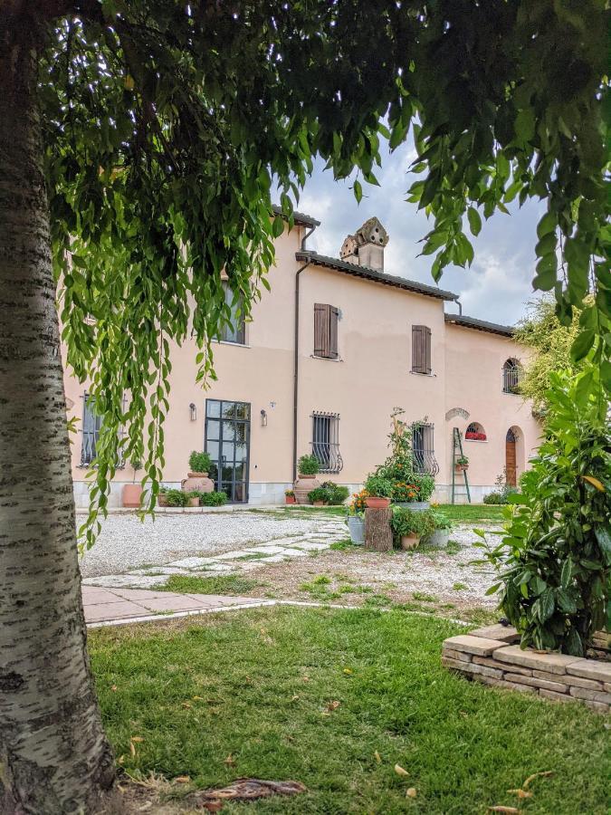 Villa Casale Boschi - Rifugio Di Pianura Cotignola Exterior foto